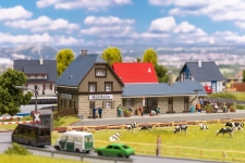 Faller 231731 - N - Bahnhof Mühlheim